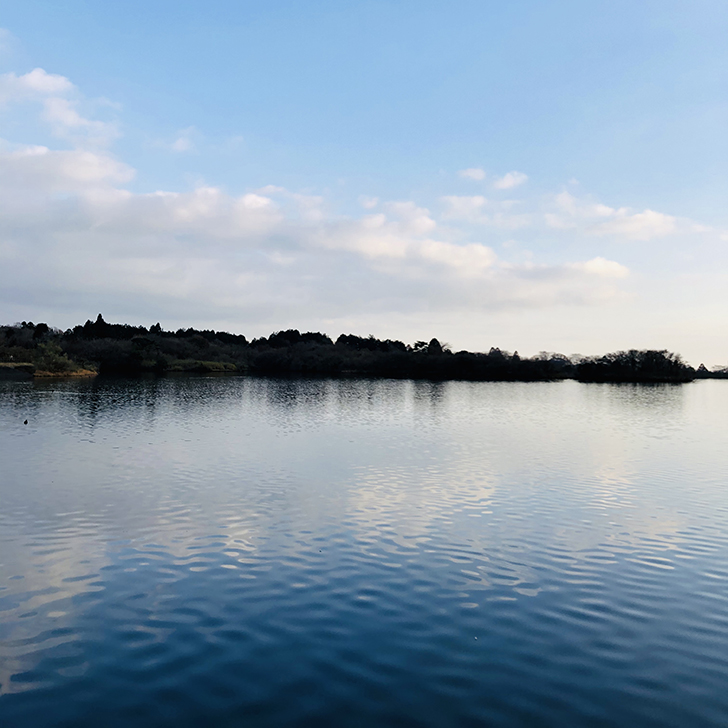 田貫湖の風景写真